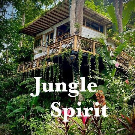 Вилла Jungle Spirit Treehouse Кауита Экстерьер фото