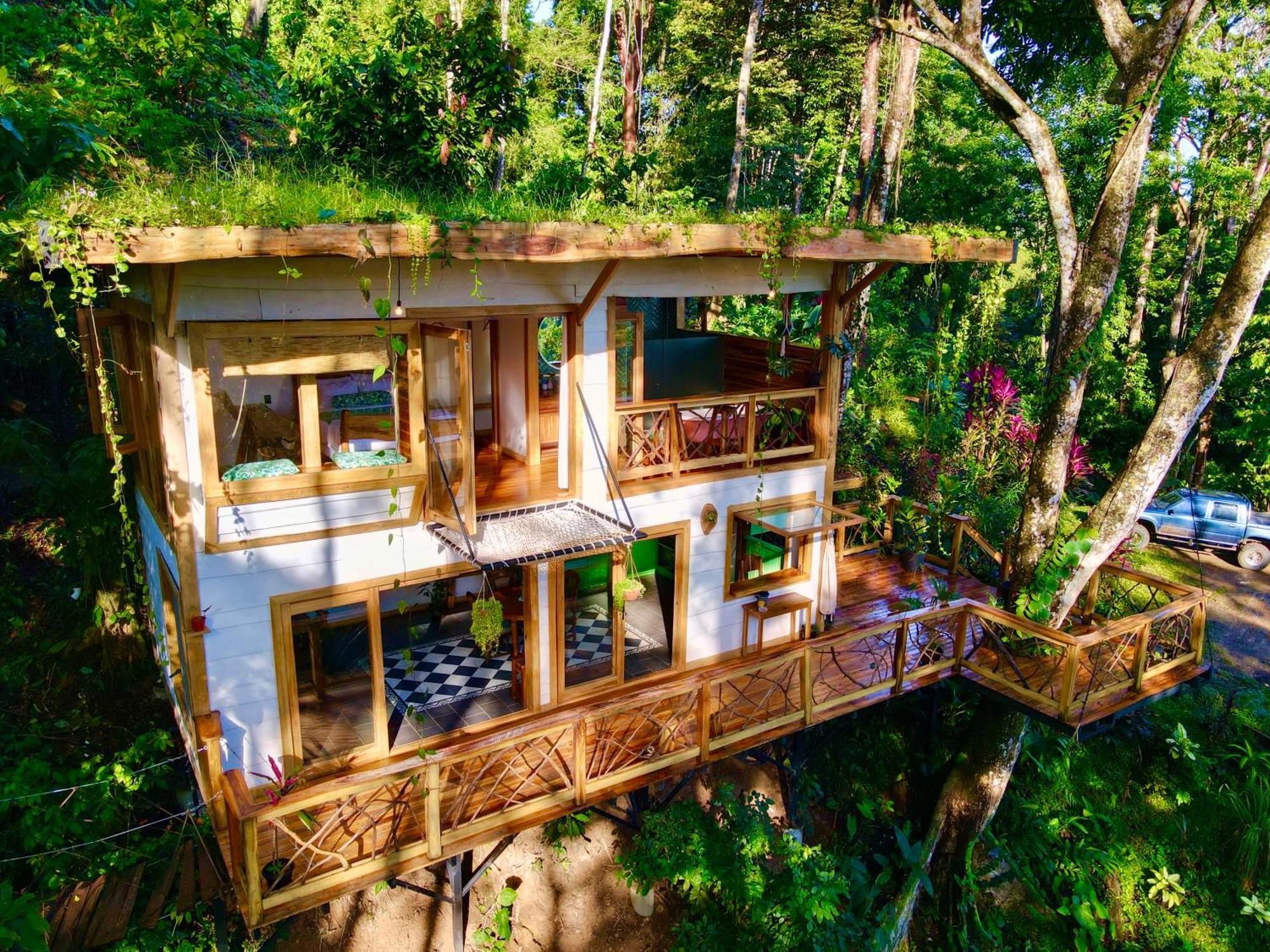 Вилла Jungle Spirit Treehouse Кауита Экстерьер фото