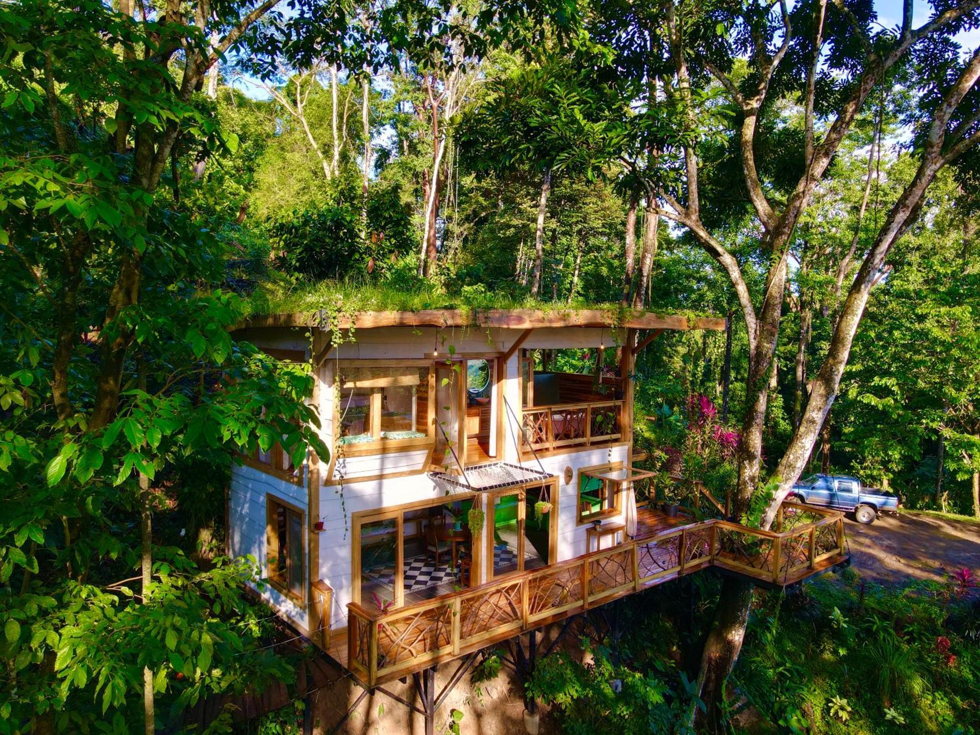 Вилла Jungle Spirit Treehouse Кауита Экстерьер фото