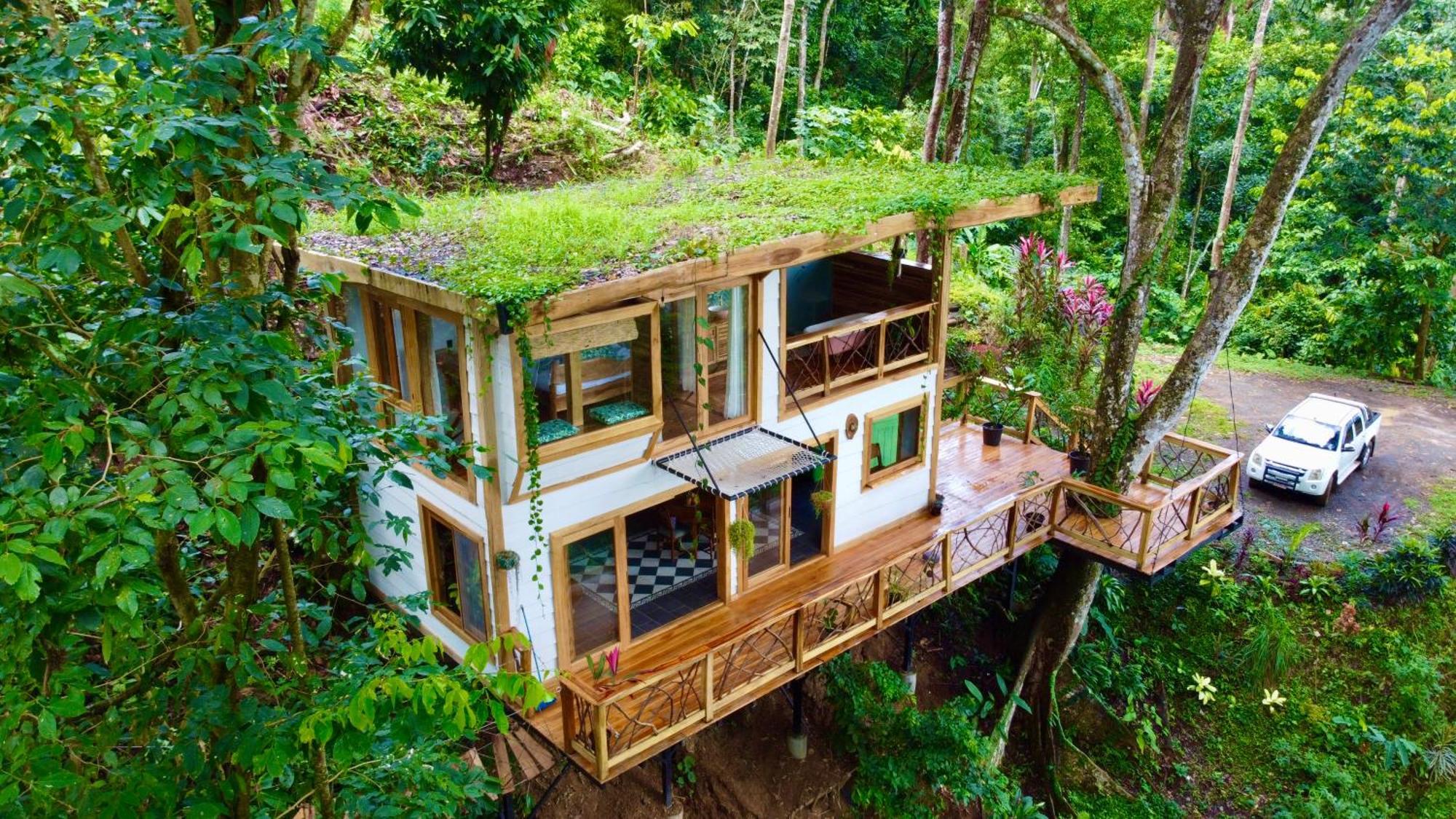 Вилла Jungle Spirit Treehouse Кауита Экстерьер фото