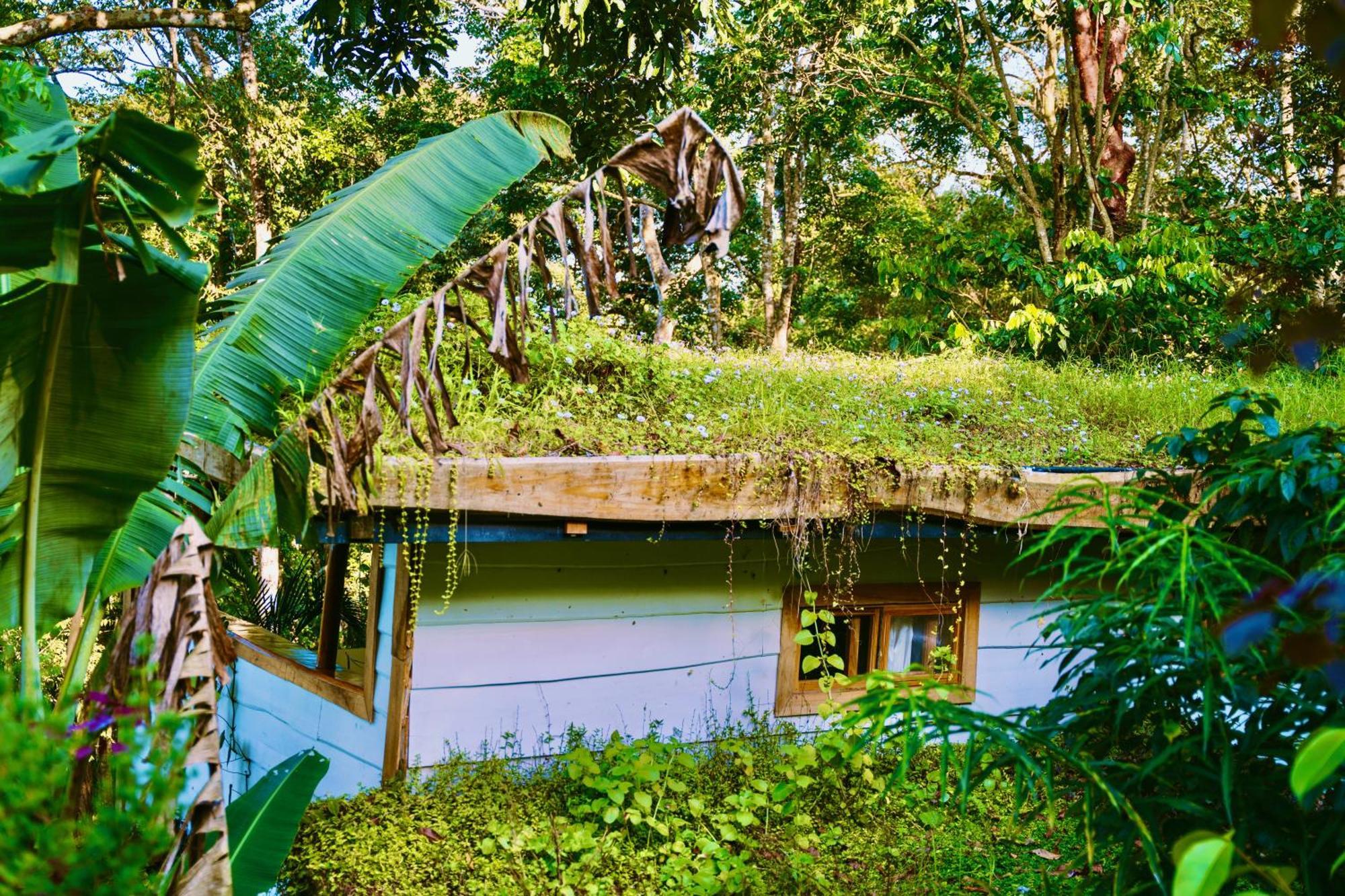 Вилла Jungle Spirit Treehouse Кауита Экстерьер фото