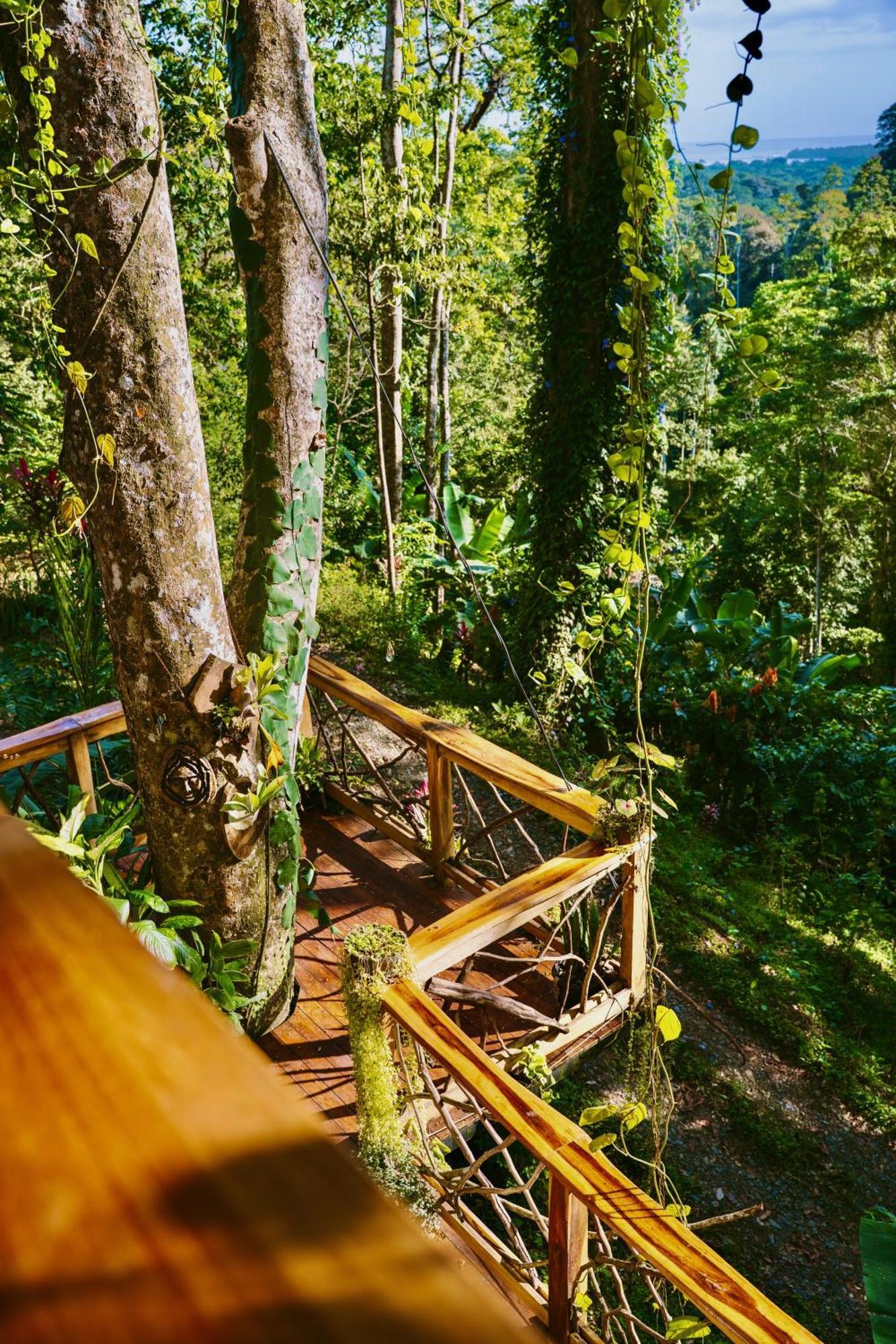 Вилла Jungle Spirit Treehouse Кауита Экстерьер фото