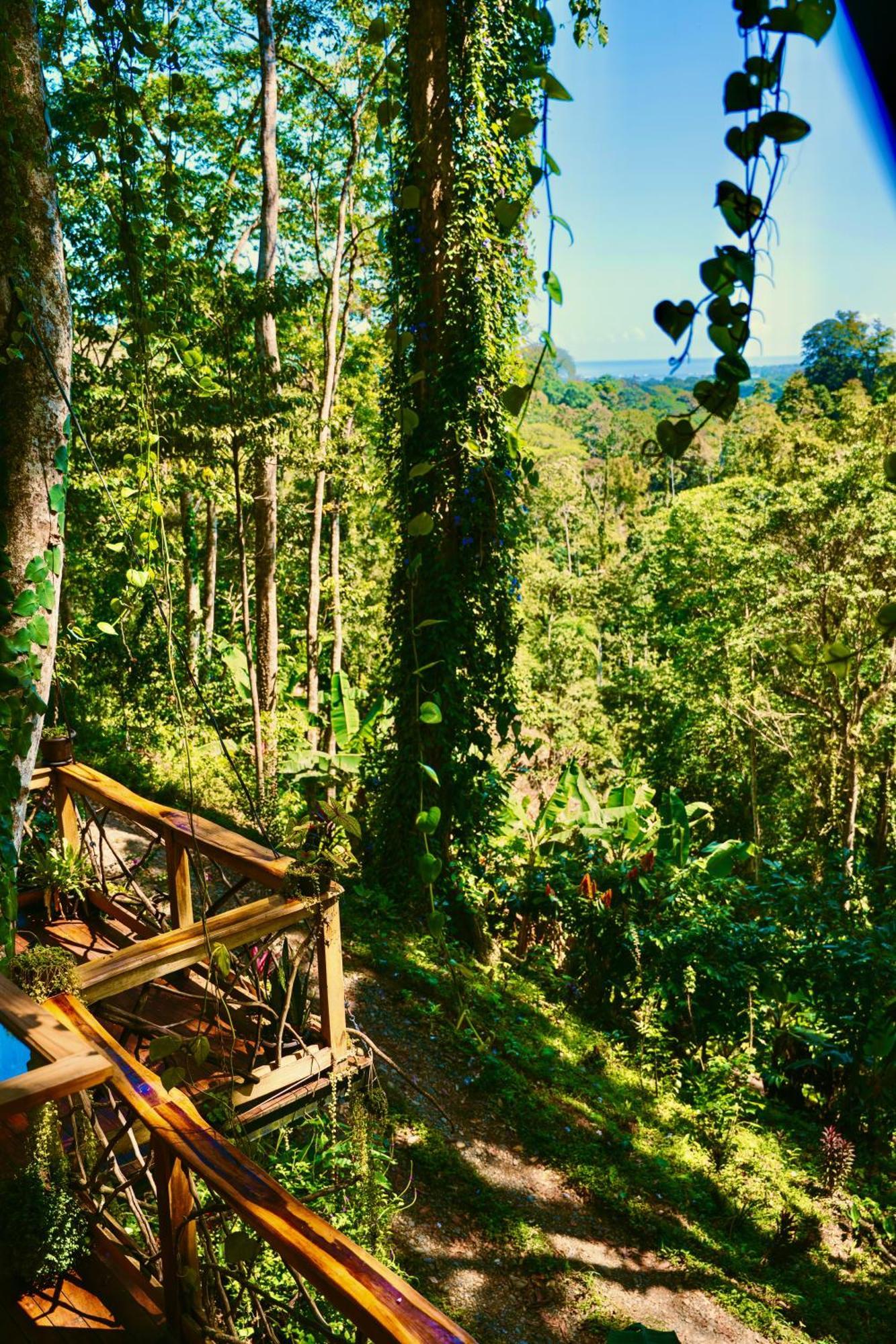 Вилла Jungle Spirit Treehouse Кауита Экстерьер фото